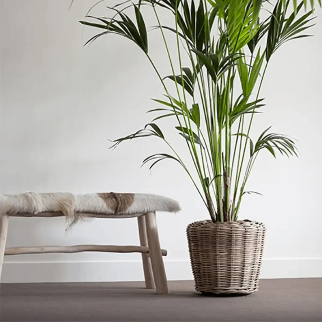 Stijlvolle rotan plantenmand met waterdichte kunststof binnenpot Ø34 cm