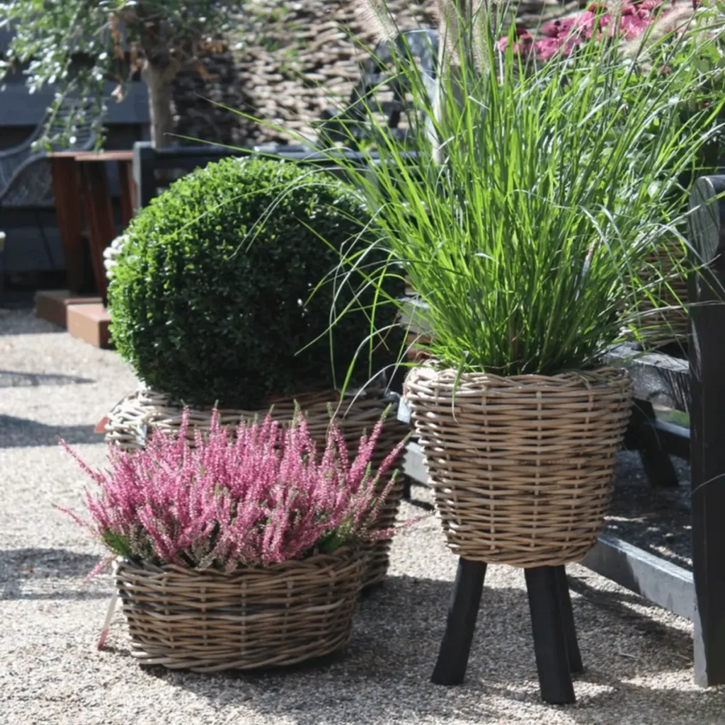 1915SHOP_VDL901325_004