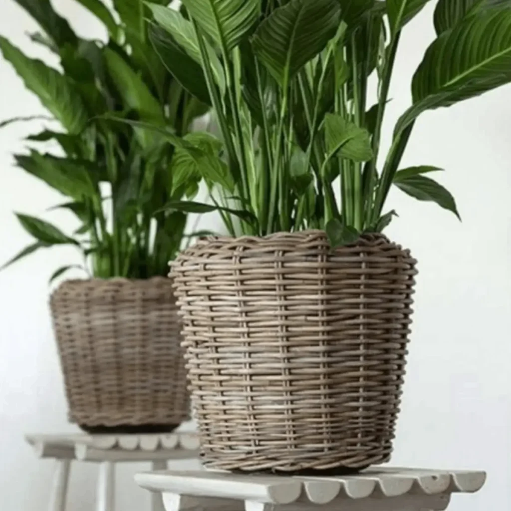 Rotan plantenmand met waterdichte binnenpot grijs voor woonkamer