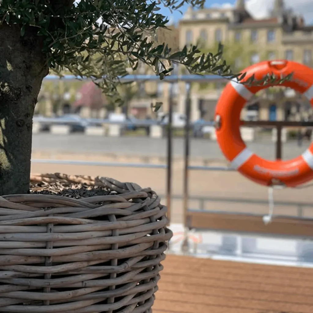 Duurzame rotan plantenmand met gerecyclede binnenpot