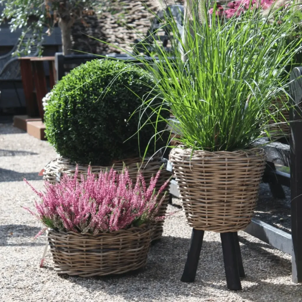 1915SHOP_VDL300350_002